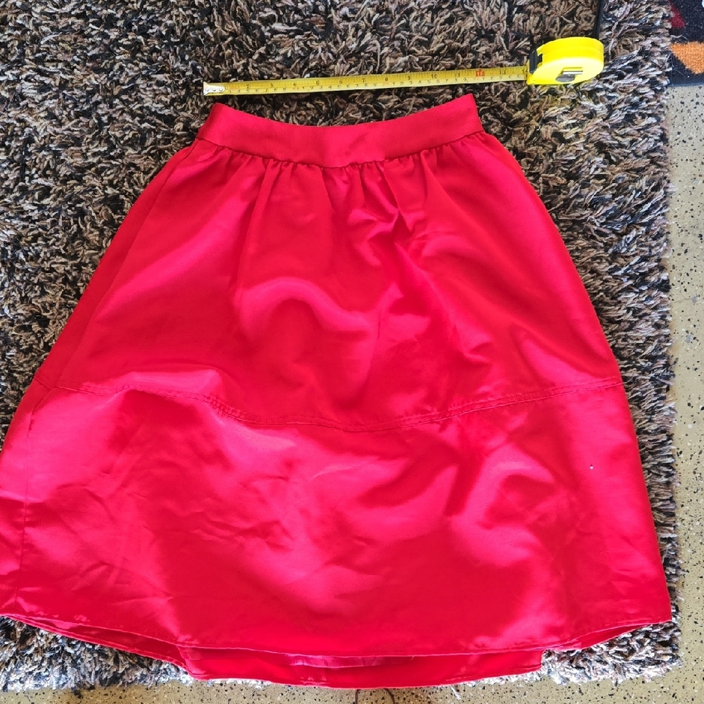 Express Lined Full Skirt Size 0 Red Women's Skirt